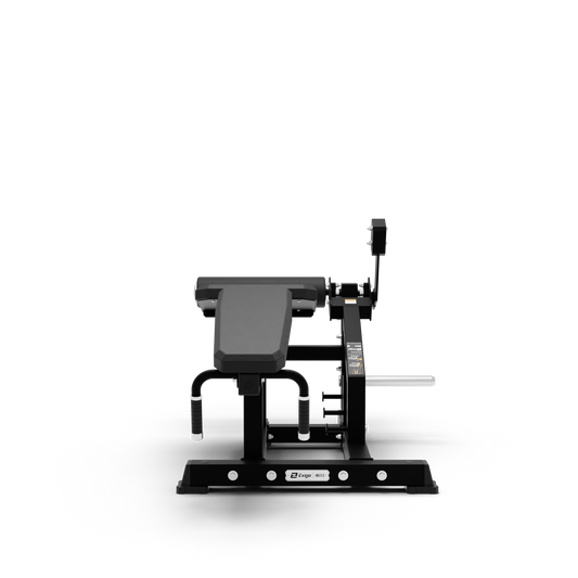 Exigo Lying Leg Curl – Plate Loaded Gym Machine - My Store